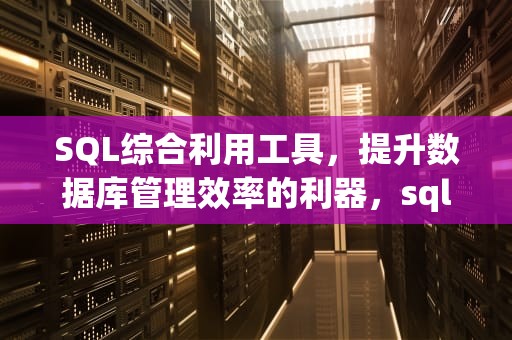 SQL综合利用工具，提升数据库管理效率的利器，sql综合利用工具有哪些