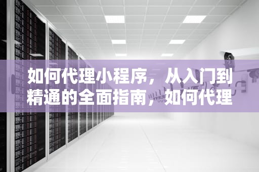 如何代理小程序，从入门到精通的全面指南，如何代理小程序游戏