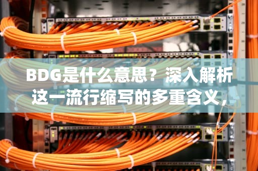 BDG是什么意思？深入解析这一流行缩写的多重含义，bdg是什么意思中文