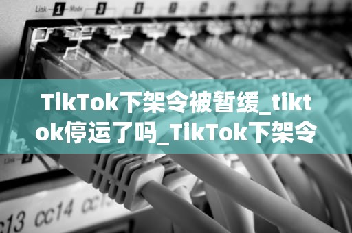 TikTok下架令被暂缓_tiktok停运了吗_TikTok下架令被暂缓：一场关于自由表达与网络安全的较量