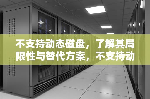 不支持动态磁盘，了解其局限性与替代方案，不支持动态磁盘怎么办