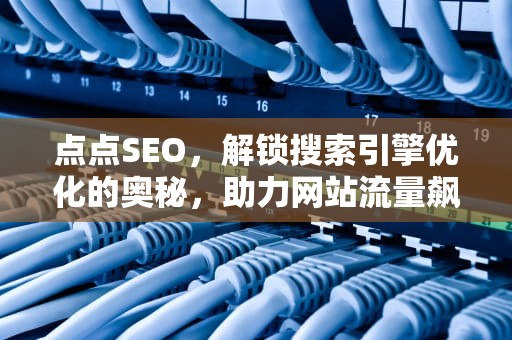 点点SEO，解锁搜索引擎优化的奥秘，助力网站流量飙升，点点色欧美成人网站