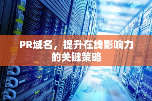 PR域名，提升在线影响力的关键策略
