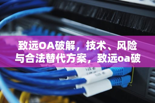 致远OA破解，技术、风险与合法替代方案，致远oa破解加密狗怎么用