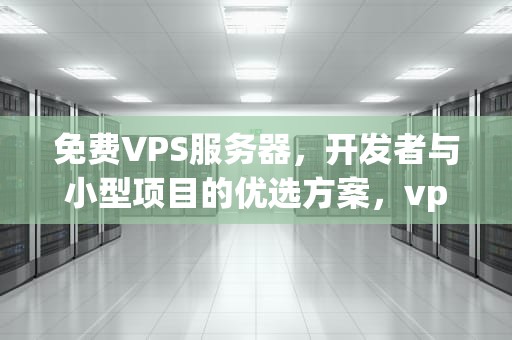 免费VPS服务器，开发者与小型项目的优选方案，vps 免费