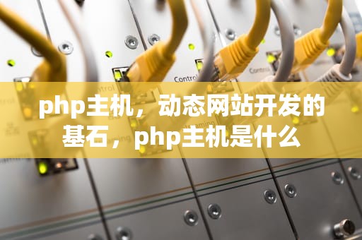 php主机，动态网站开发的基石，php主机是什么