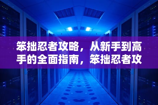 笨拙忍者攻略，从新手到高手的全面指南，笨拙忍者攻略大全