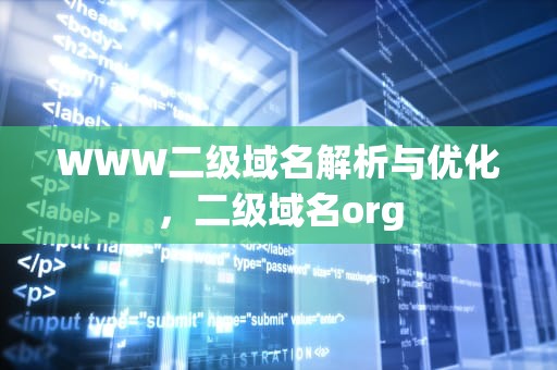 WWW二级域名解析与优化，二级域名org