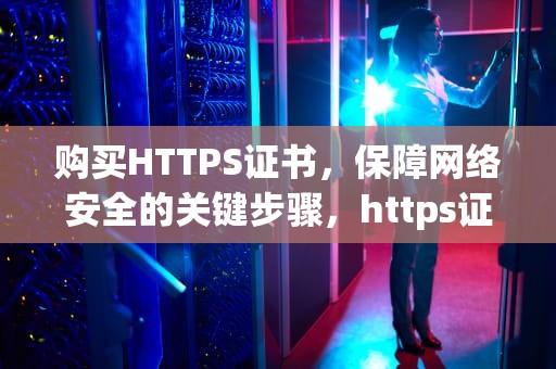 购买HTTPS证书，保障网络安全的关键步骤，https证书购买价格