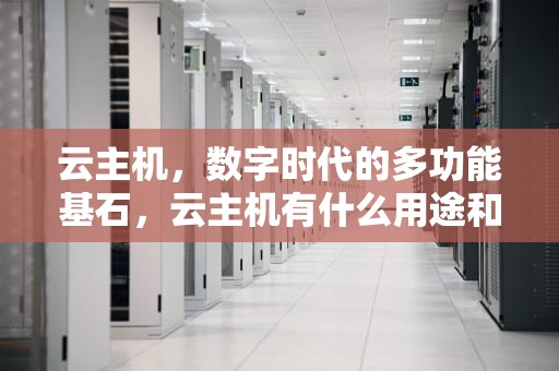云主机，数字时代的多功能基石，云主机有什么用途和功能