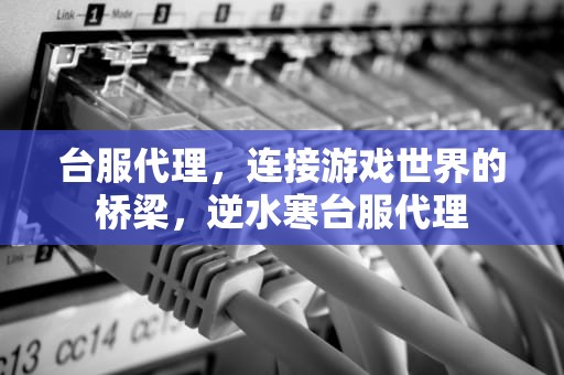 台服代理，连接游戏世界的桥梁，逆水寒台服代理