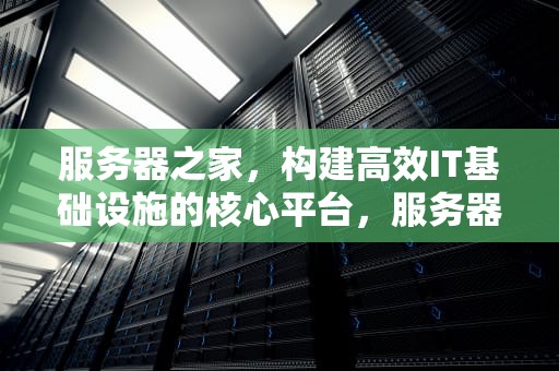 服务器之家，构建高效IT基础设施的核心平台，服务器之家图片