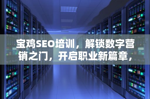宝鸡SEO培训，解锁数字营销之门，开启职业新篇章，宝鸡网站seo
