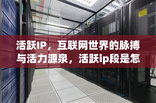 活跃IP，互联网世界的脉搏与活力源泉，活跃ip段是怎样查的