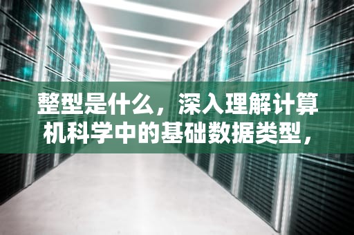 整型是什么，深入理解计算机科学中的基础数据类型，整型是什么意思