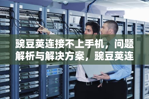 豌豆荚连接不上手机，问题解析与解决方案，豌豆荚连接不上手机怎么办