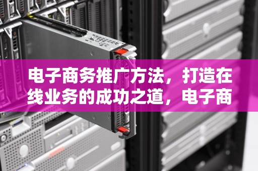 电子商务推广方法，打造在线业务的成功之道，电子商务推广方法比较