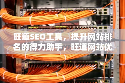 旺道SEO工具，提升网站排名的得力助手，旺道网站优化