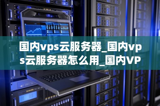 国内vps云服务器_国内vps云服务器怎么用_国内VPS云服务器的探索与应用