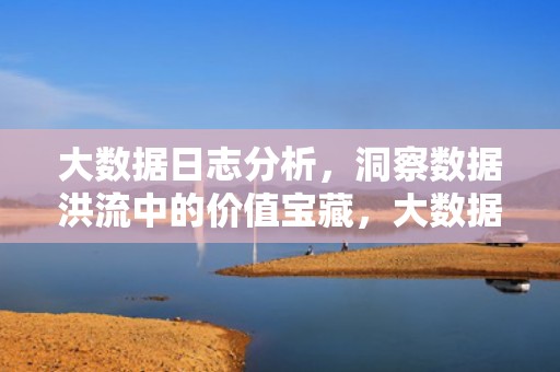 大数据日志分析，洞察数据洪流中的价值宝藏，大数据 日志