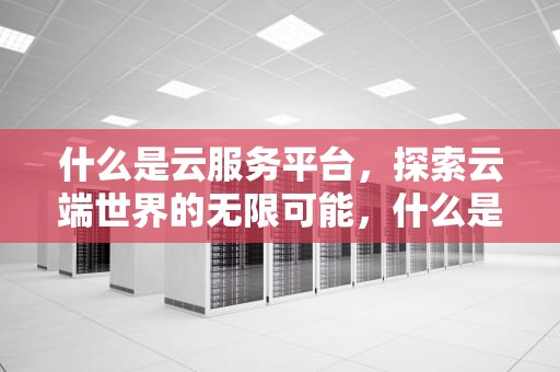 什么是云服务平台，探索云端世界的无限可能，什么是云服务平台?你用过哪些云服务平台?