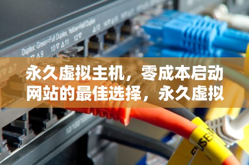 永久虚拟主机，零成本启动网站的最佳选择，永久虚拟主机购买