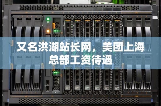 又名洪湖站长网，美团上海总部工资待遇