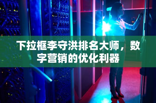 下拉框李守洪排名大师，数字营销的优化利器