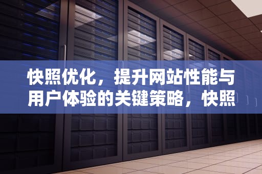 快照优化，提升网站性能与用户体验的关键策略，快照优化网站