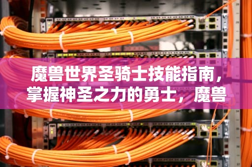 魔兽世界圣骑士技能指南，掌握神圣之力的勇士，魔兽世界圣骑士技能表