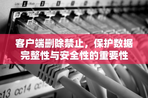 客户端删除禁止，保护数据完整性与安全性的重要性