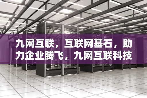 九网互联，互联网基石，助力企业腾飞，九网互联科技有限公司