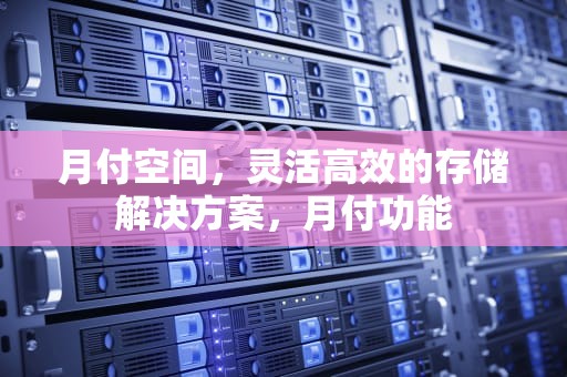 月付空间，灵活高效的存储解决方案，月付功能