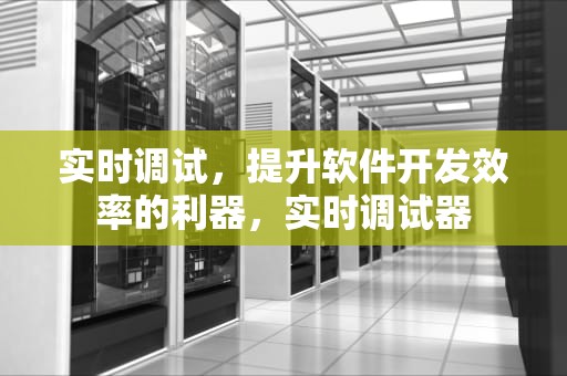 实时调试，提升软件开发效率的利器，实时调试器