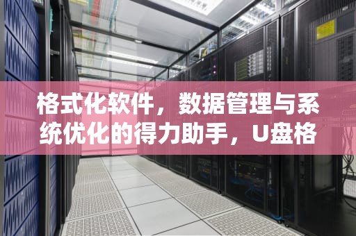 格式化软件，数据管理与系统优化的得力助手，U盘格式化软件