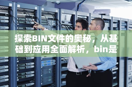 探索BIN文件的奥秘，从基础到应用全面解析，bin是什么文件格式怎么打开