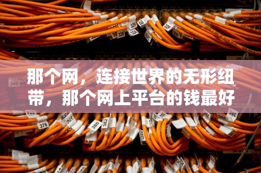 那个网，连接世界的无形纽带，那个网上平台的钱最好借