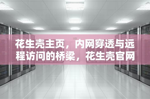 花生壳主页，内网穿透与远程访问的桥梁，花生壳官网