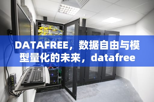 DATAFREE，数据自由与模型量化的未来，datafree多大需要处理