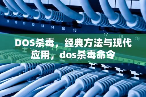 DOS杀毒，经典方法与现代应用，dos杀毒命令