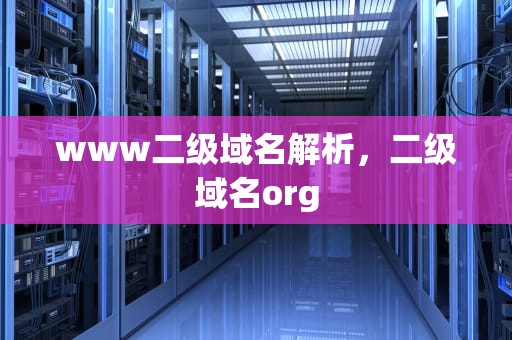 www二级域名解析，二级域名org