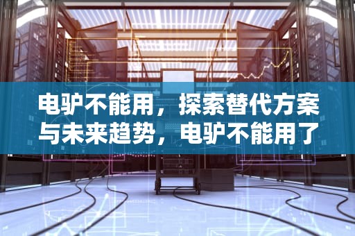 电驴不能用，探索替代方案与未来趋势，电驴不能用了有什么替代的软件吗