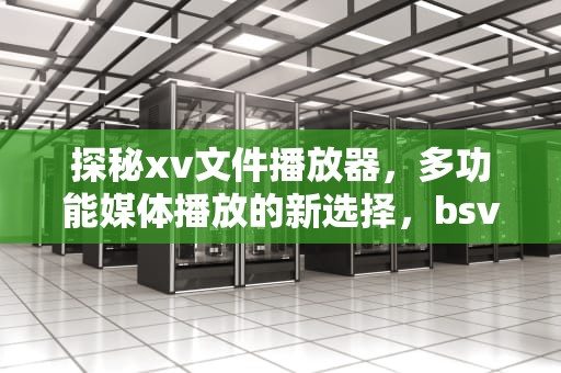探秘xv文件播放器，多功能媒体播放的新选择，bsv文件播放器