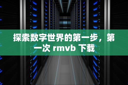 探索数字世界的第一步，第一次 rmvb 下载