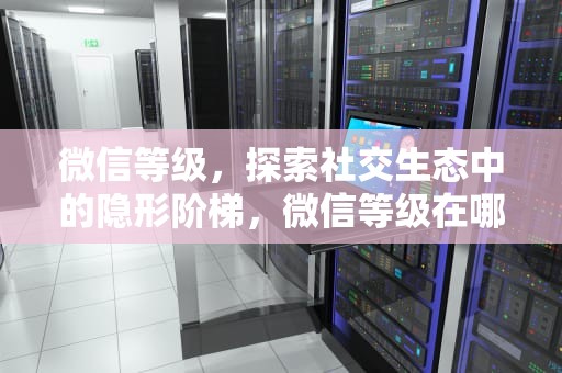 微信等级，探索社交生态中的隐形阶梯，微信等级在哪里看