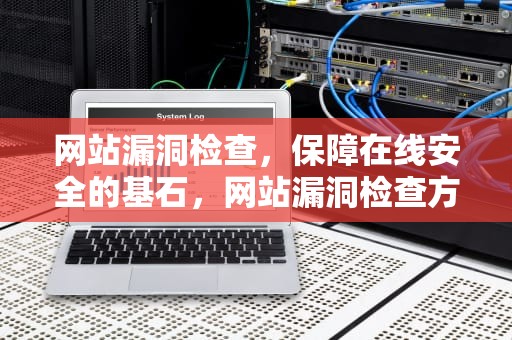 网站漏洞检查，保障在线安全的基石，网站漏洞检查方法