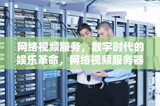 网络视频服务，数字时代的娱乐革命，网络视频服务器