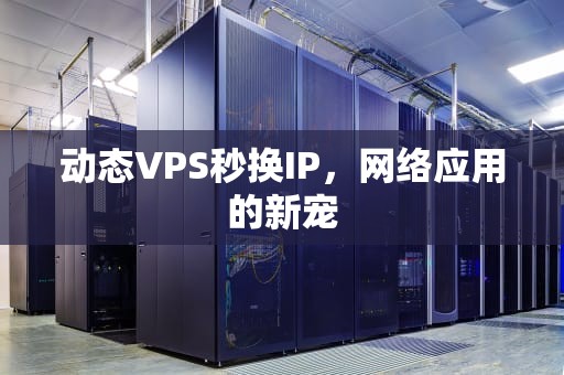 动态VPS秒换IP，网络应用的新宠