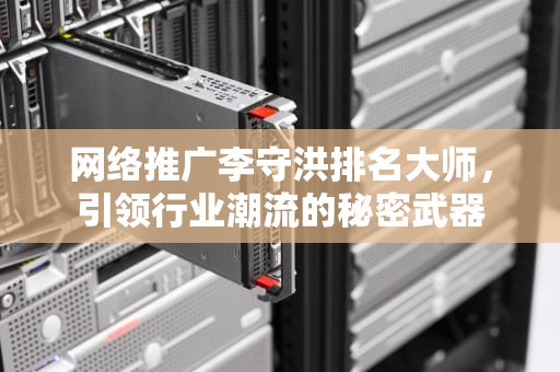 网络推广李守洪排名大师，引领行业潮流的秘密武器