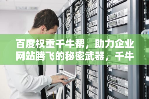 百度权重千牛帮，助力企业网站腾飞的秘密武器，千牛权重是什么意思